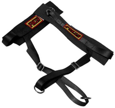 Toyota Camry Seat Belt RCI