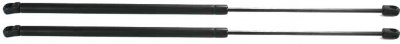 Mercedes Benz Ml320 Hatch Strut Replacement