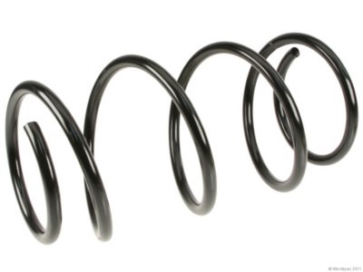 Dodge Coil Springs Lesjofors